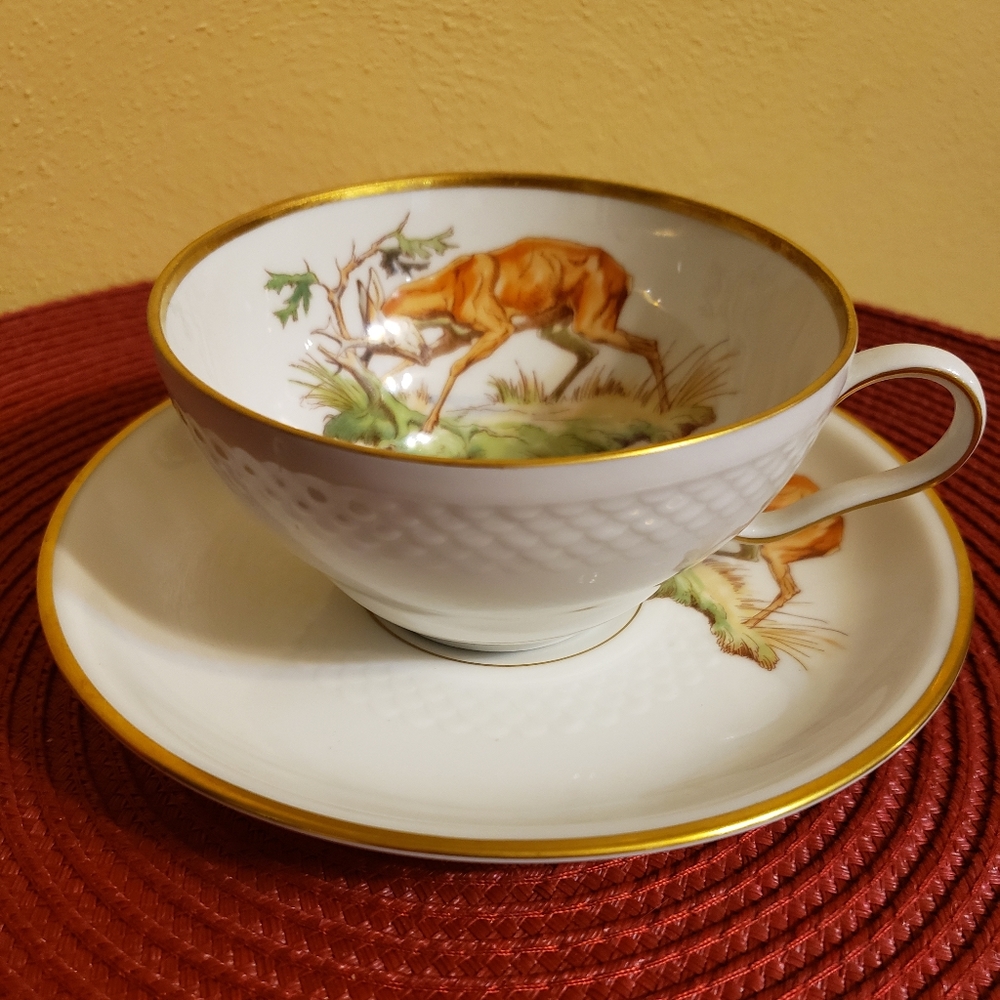 Rare Thomas for Rosenthal (Germany) tea cup/saucer